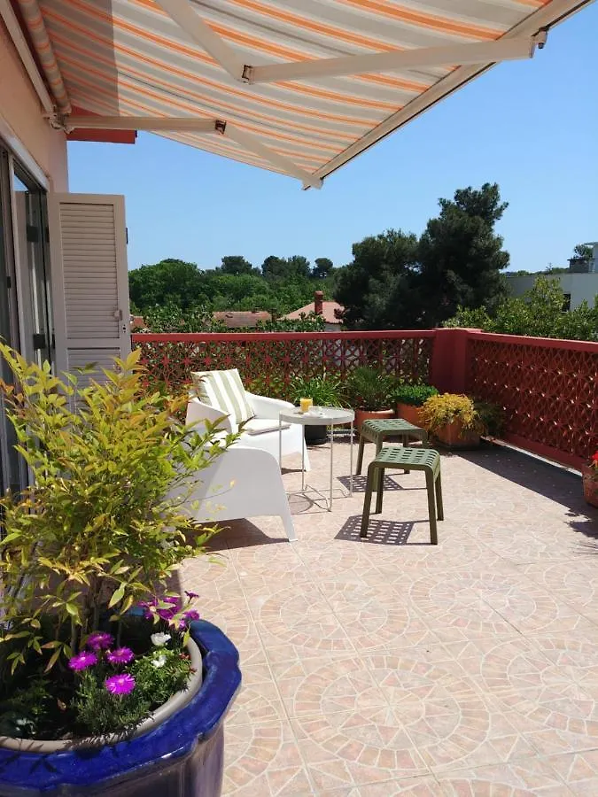 Apartment Axelle 50 Meters To The Beach Banjole 0*,
